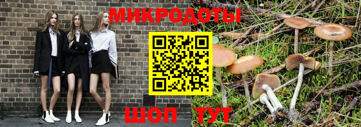 Галлюциногенные грибы Psilocybe Горячий Ключ