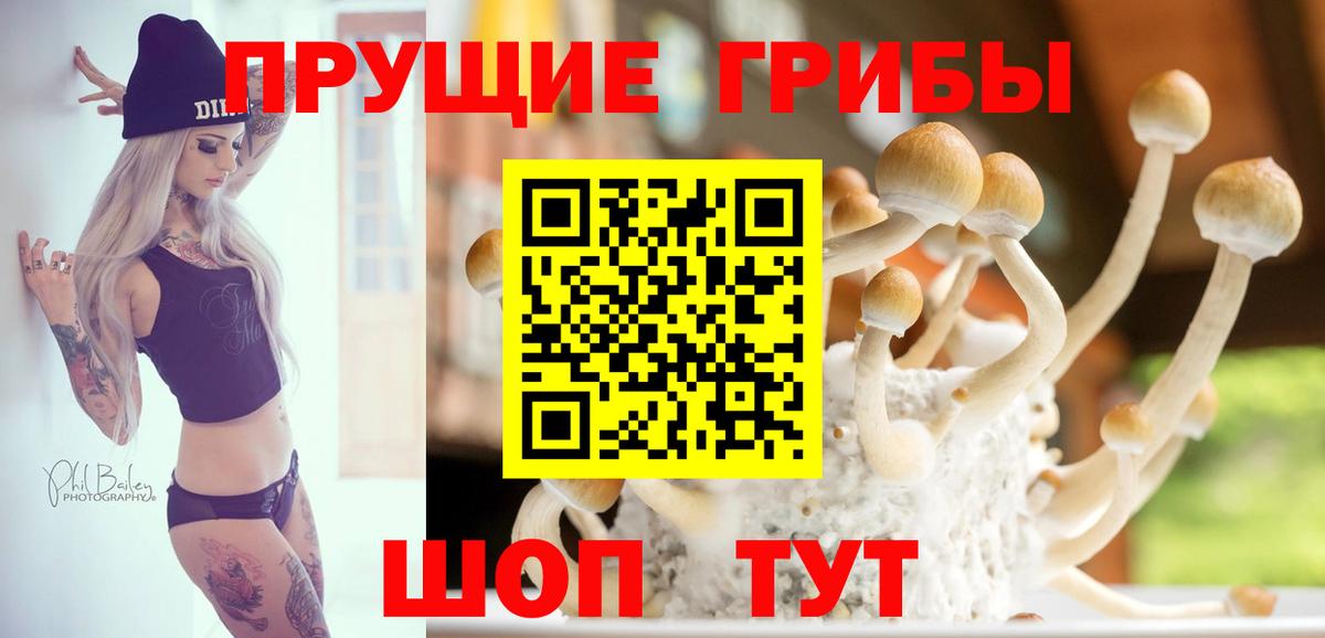 Горячий Ключ  Галлюциногенные грибы прущие грибы  где купить наркотик  Вход с VPN 